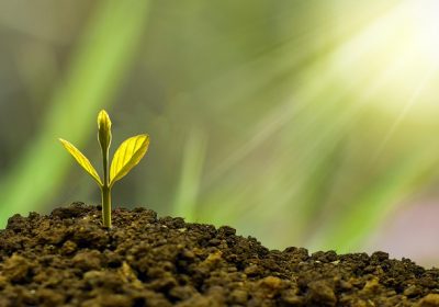 [화장품] 성장인자 Growth Factor (EGF, FGF-2) 올레오좀